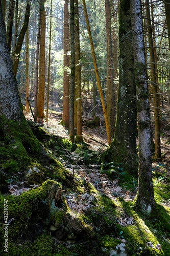 A swiss landscape at Seelisberg in april 2021.