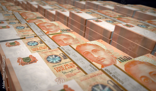Photography Singapore Dollar money banknotes pack illustration