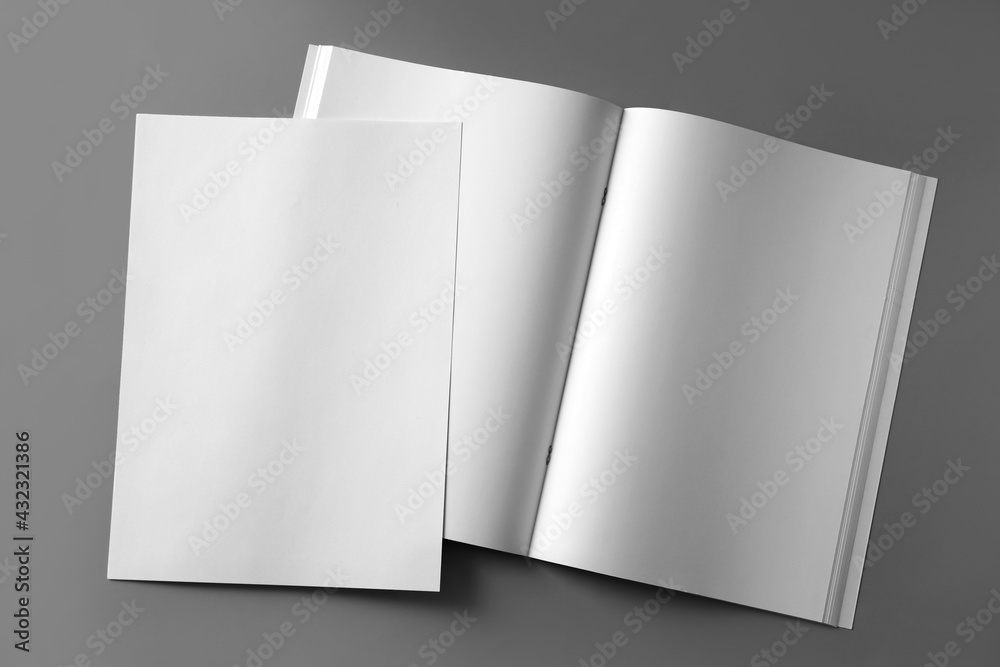Paper sheet and open blank brochure on light grey background, flat lay