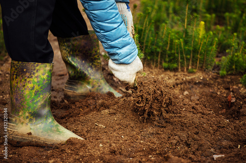 a man plants a young tree in the ground. caring for nature. cultivation of land on a farm. a worker wearing gloves and boots works in a garden with plants