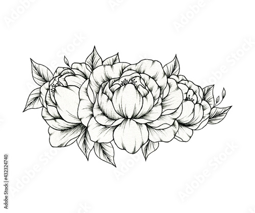 Fototapeta Naklejka Na Ścianę i Meble -  Hand drawn peony flower bouquet isolated on white, spring line art floral illustration with peonies blossom, elegant black floral sketch