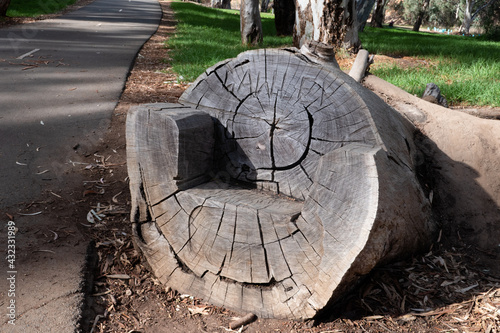 Hand sculptured seat in dead mans park gawler photo