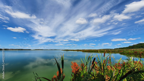Beautiful bird pond. Cattai...