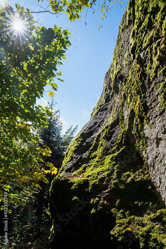 big rock overgrown with green moss, bright sunshine