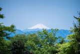 高尾山から見た富士山