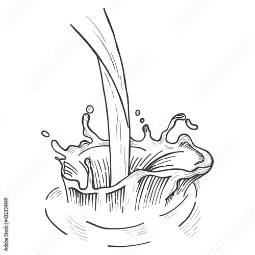 Bulk milk splash isolated on white background. Sketch scratch board imitation. Black and white.