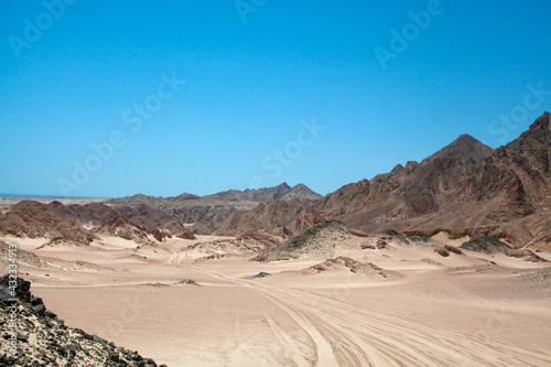 sand dunes in the desert