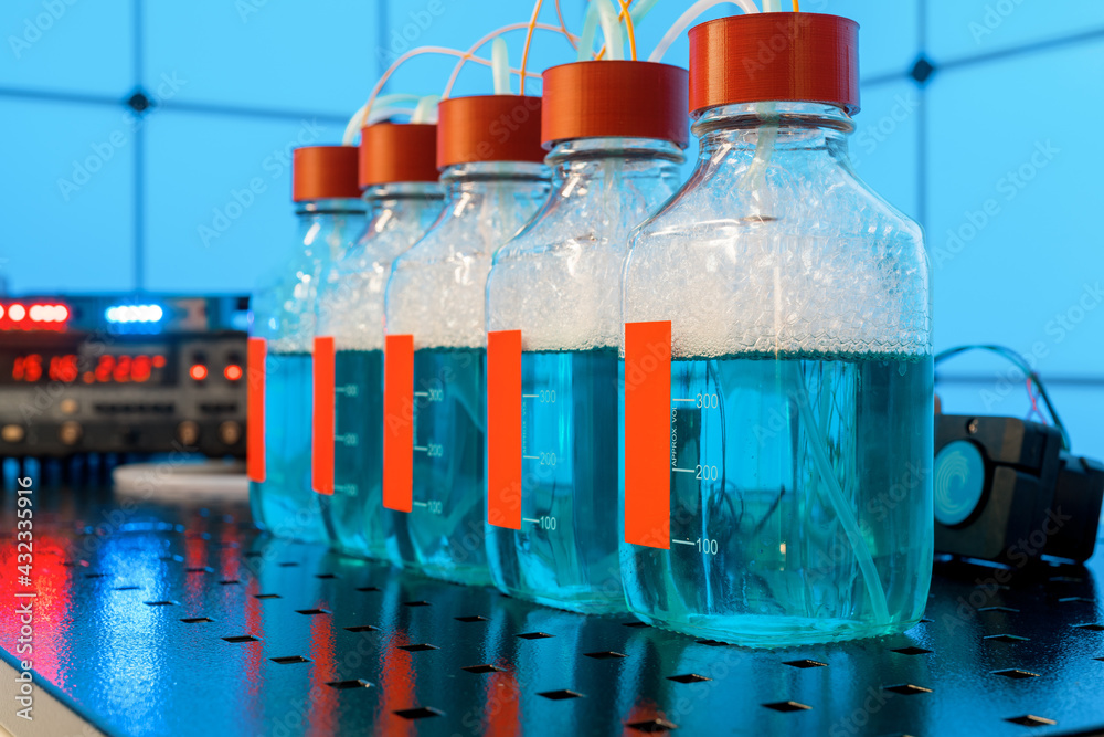 Biohydrogen droduction research produced by fermentation. - obrazy, fototapety, plakaty 