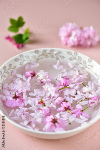Sakura flowers in a bowl in water on a powdery background.