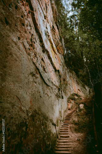 Hiking trail by the Licu and Langu sandstone cliffs by the Gauja river in Latvia photo