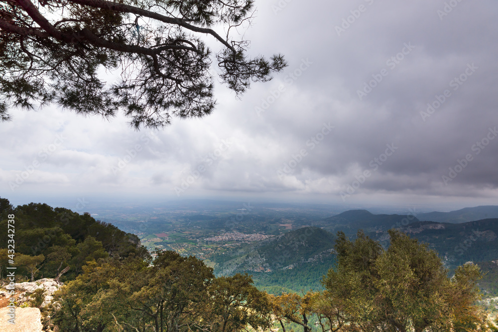 Panoramic view with pine tree at Puig d'Alaro on the Spanish island Majorca 