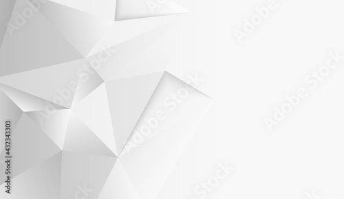 Abstract .Modern background. White polygon background. vector
