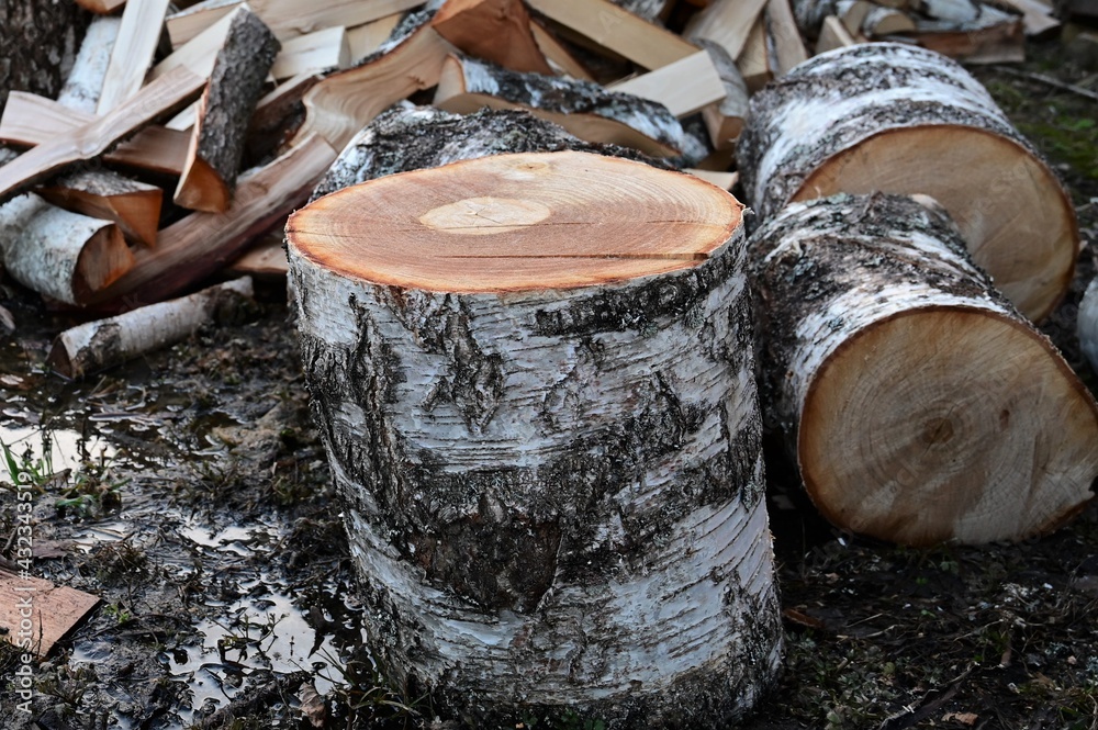 Stocks of birch logs close-up. Harvesting firewood for the winter. Firewood background Stocks of birch logs close-up. Harvesting firewood for the winter. Firewood background