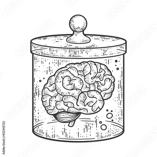 human brain in jar of formalin sketch engraving vector illustration. T-shirt apparel print design. Scratch board imitation. Black and white hand drawn image.