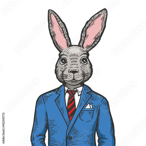 Rabbit hare businessman color sketch engraving vector illustration. Scratch board style imitation. Black and white hand drawn image.