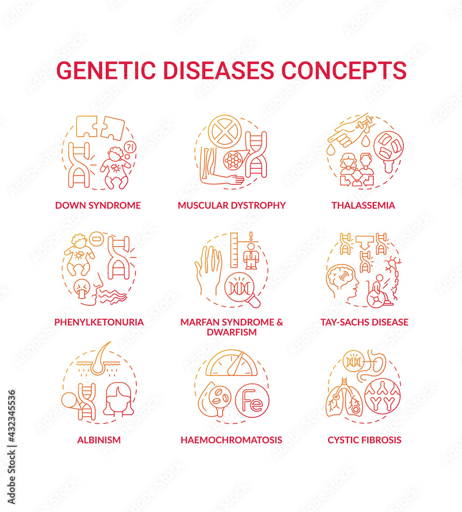 Genetic disease red gradient concept icons set. Marfan syndrome, dwarfism. Tay sach disease. Hereditary illness idea thin line RGB color illustrations. Vector isolated outline drawings