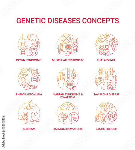 Genetic disease red gradient concept icons set. Marfan syndrome, dwarfism. Tay sach disease. Hereditary illness idea thin line RGB color illustrations. Vector isolated outline drawings