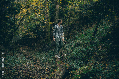 La forêt calme, aucun peuple © Maksym