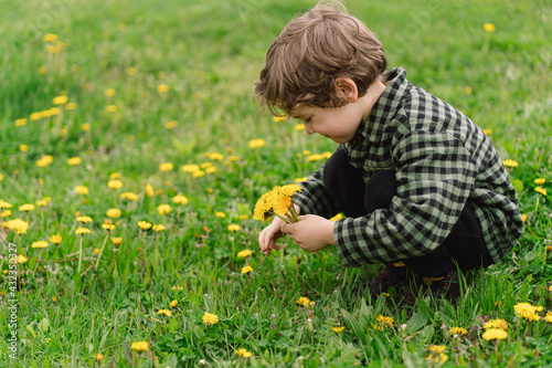 Curly boy collects and sniffs dandelion flowers. Time of spring © Анастасія Стягайло