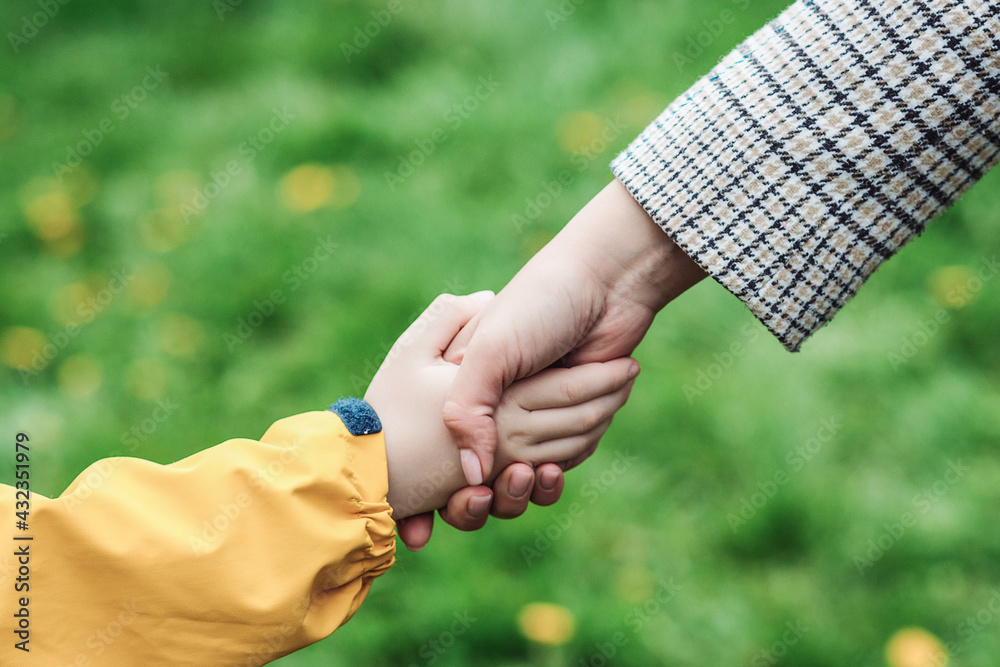 Mother and child hands holding each other on field. Support, help and trust. Kid and mother hands on nature background. Mother and child hands holding each other on field. Support, help and trust. Kid and mother hands on nature background.