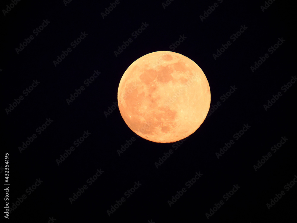 Obraz premium full moon in the night