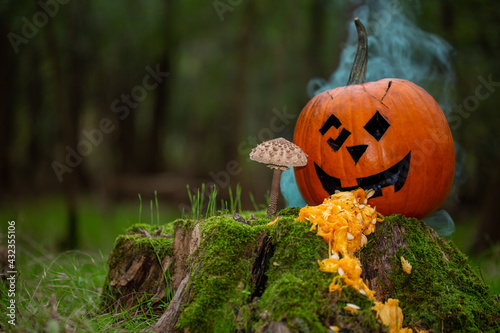 Wallpaper Mural Smoked halloween pumpkin Torontodigital.ca