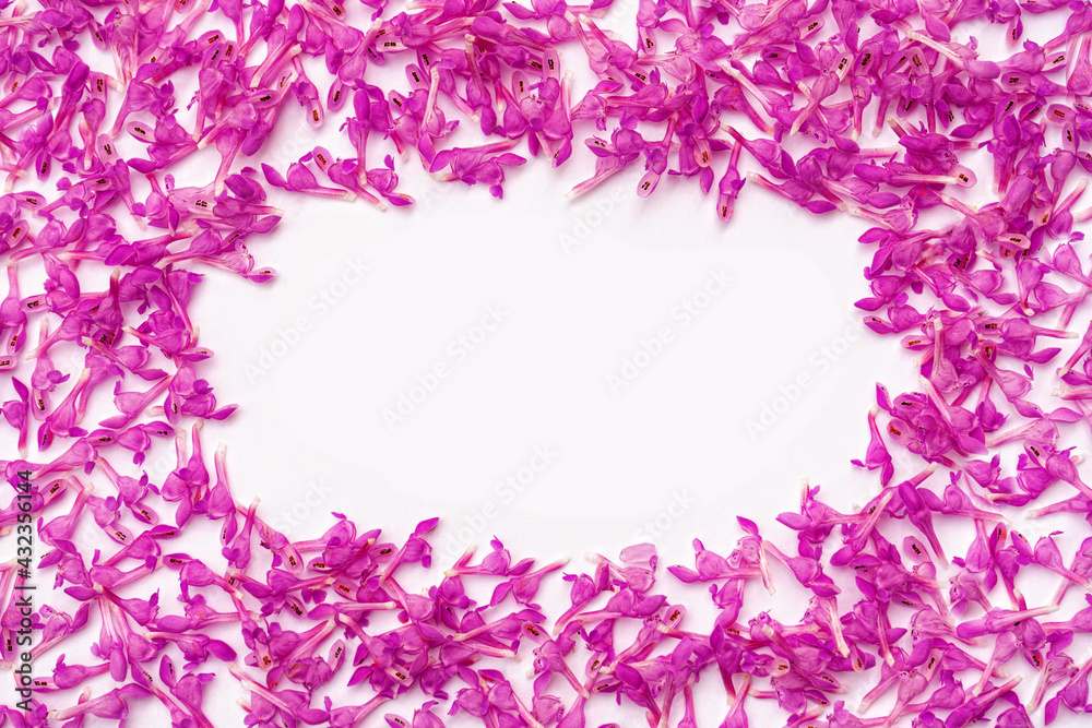 rectangular frame of small pink spring flowers on a white background 