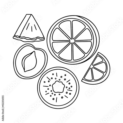 Pieces of tropical fruits. Sliced fruits, contours for coloring. Vector black and white line drawing