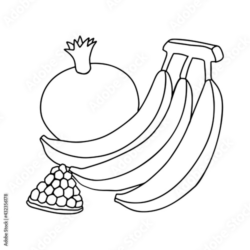 Bananas and pomegranates. Harvest fruits. Vector black and white drawing. Children's coloring, objects for drawing