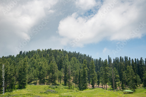 Gulmarg is a town, a hill station in summer time, a popular skiing destination of the Indian state of Jammu & Kashmir. It is a popular tourist destination and hill station © naughtynut