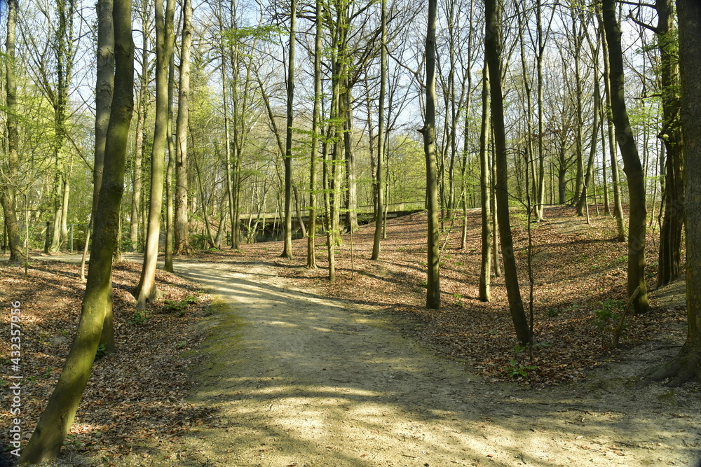 L'un des chemins au parc Stuyvenberg à Laeken (Bruxelles) L'un des chemins au parc Stuyvenberg à Laeken (Bruxelles)