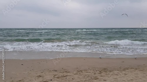 Seascape, sand, sea and gray clouds, seagulls walk along the shore. Stormy weather. Stormy sea.
