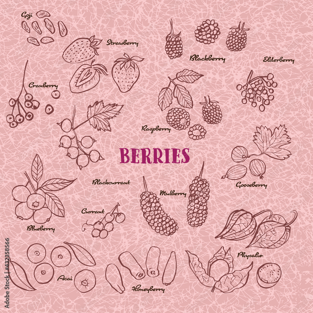 Hand drawn berries icon set illustration collection. Vector isolated line art berry set. Hand drawn berries icon set illustration collection. Vector isolated line art berry set.