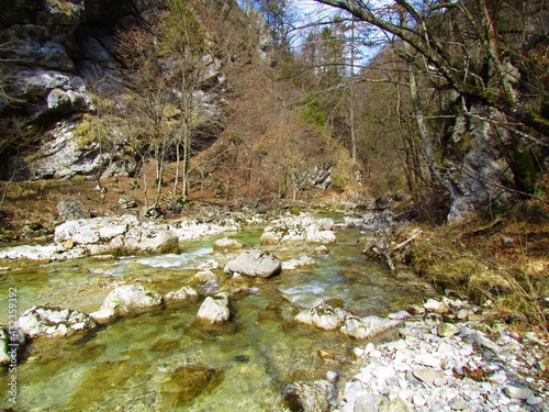 Beautiful river Iska in Iski Vintgar gorge in Slovenia with bare trees on the banks on a sunny day photo