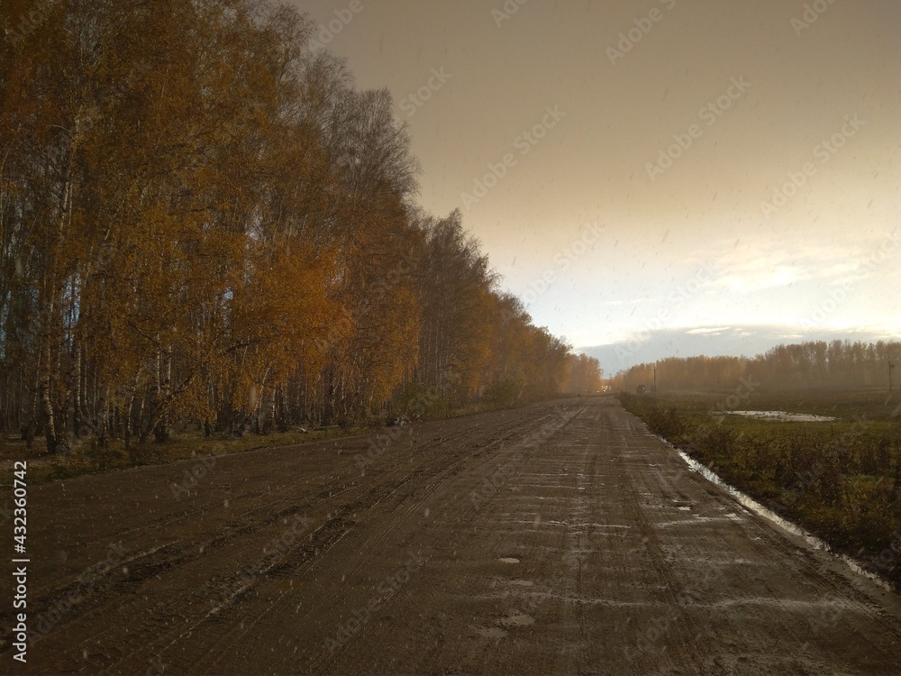 wet road in autumn with yellow leaves on trees in the forest journey