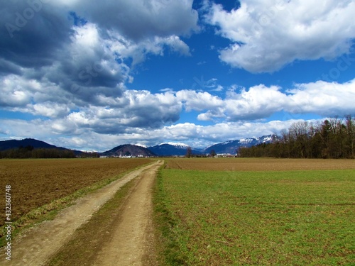 Dirt road leading through fields and snow covered Karavanke mountains behind in Gorenjska  Slovenia and beutiful white clouds in the sky