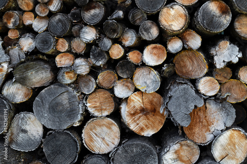 texture of stacked firewood logs