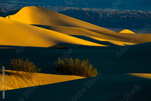 Fototapeta Naklejka Na Ścianę i Meble -  Sand Dune Hike