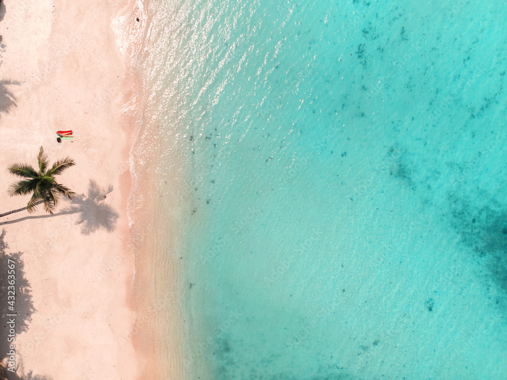 Tropical beach with sea and palm tree