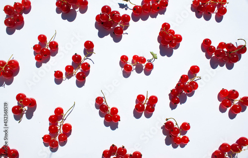 Clusters of red currant are scattered around. Red currant is scattered on a white background.