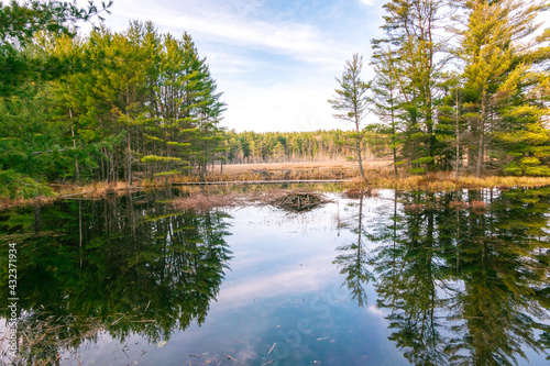 Beaver lodge near the Achray campground in Algonquin Proivincial Park, Ontario, Canada © Michael Connor Photo