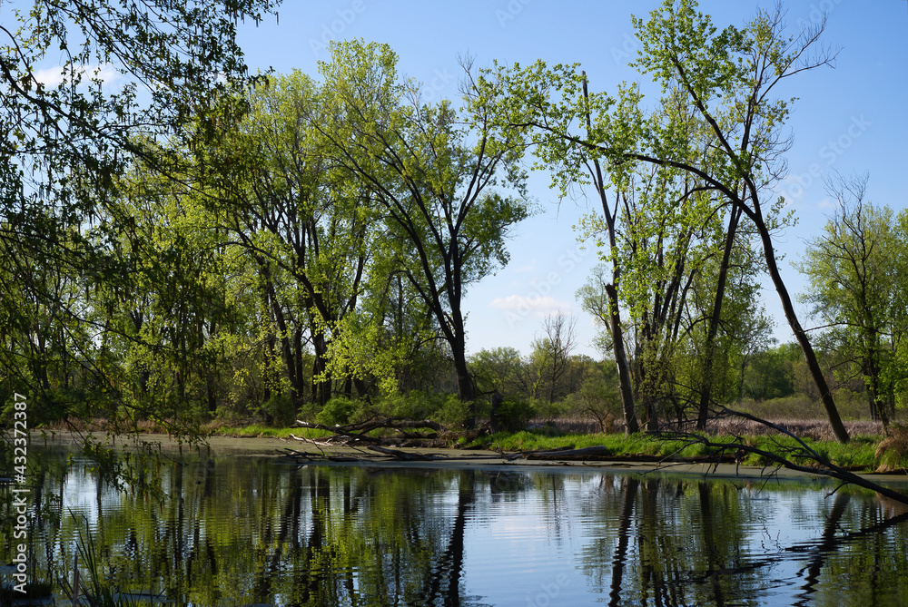 Early Spring Riverbank