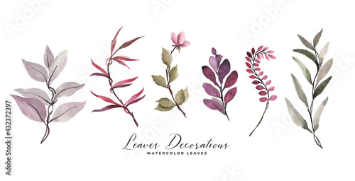 watercolor leaves and flower decoration set