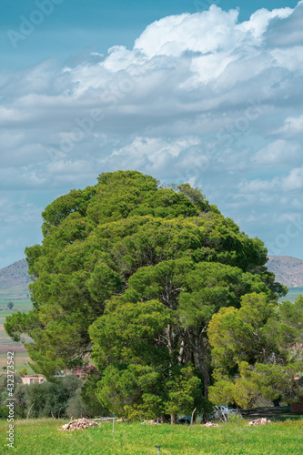 Scenery View of old houses, mountains and fields from the Aures region in Algeria