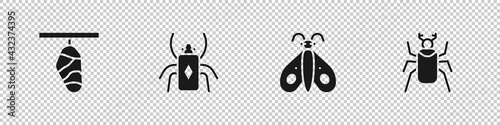 Set Butterfly cocoon, Beetle bug, and icon. Vector