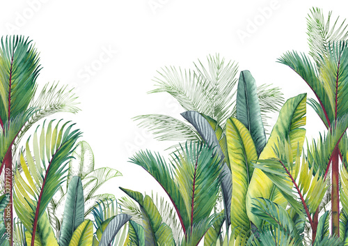 Green tropical palm leaves scenery. Watercolor and graphic illustration. © JeannaDraw