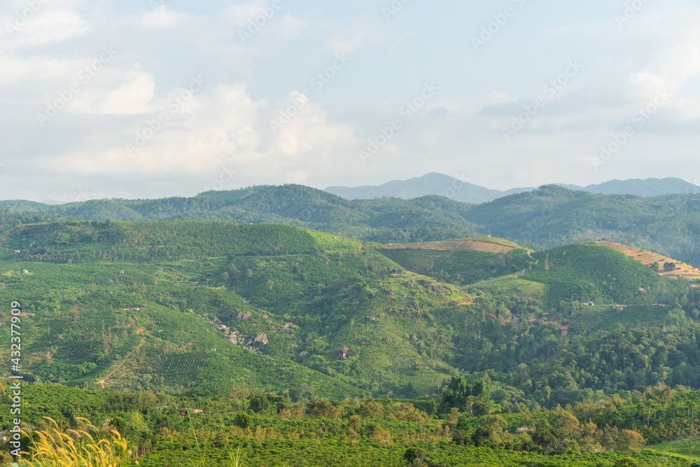 Naklejka premium Beautiful view of local valley and mountain in misty near Bao Loc city, Lam Dong province, Vietnam