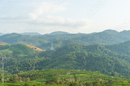 Beautiful view of local valley and mountain in misty near Bao Loc city, Lam Dong province, Vietnam
