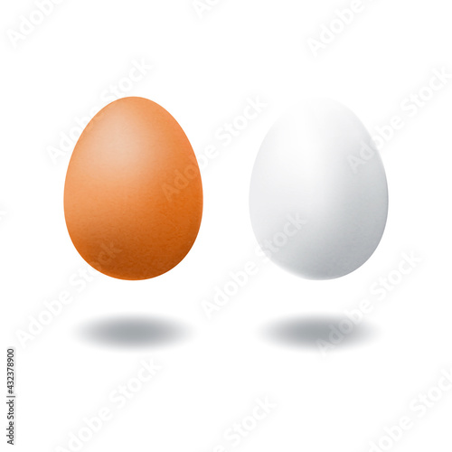 A couple of brown chicken egg and white duck egg.