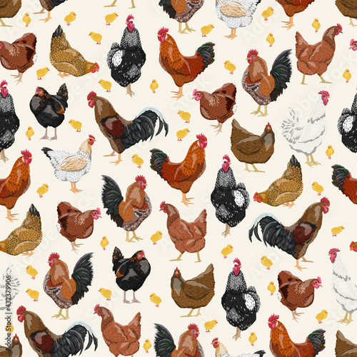 Seamless pattern with domestic hens, roosters and chickens of different colors and breeds. Realistic domestic vector birds Gallus gallus domesticus.